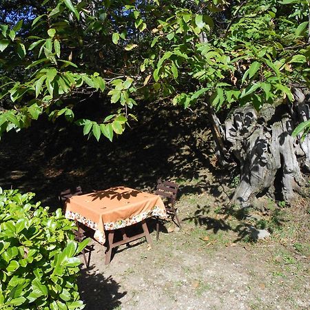Fattoria Il Praticino Vila Castelfranco di Sopra Exterior foto