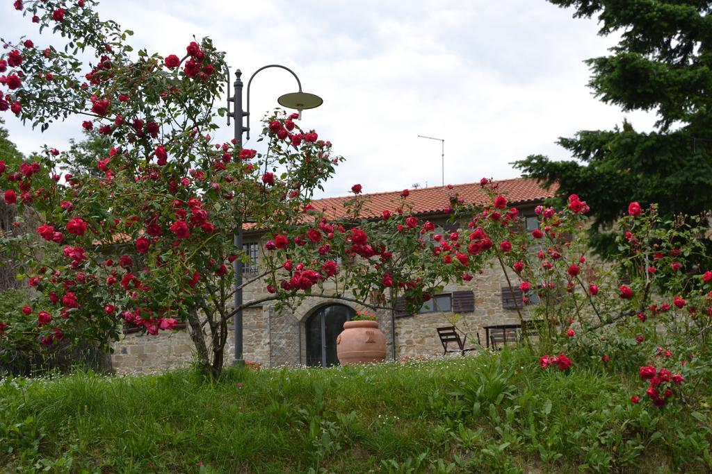 Fattoria Il Praticino Vila Castelfranco di Sopra Exterior foto