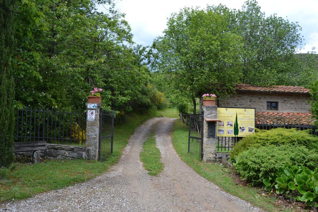 Fattoria Il Praticino Vila Castelfranco di Sopra Exterior foto